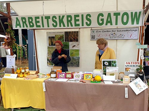 Infostand Erntedankfest 2024